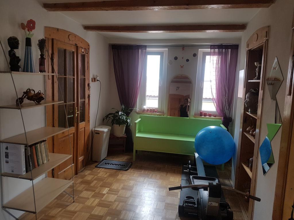 Apartman Pod Svatou Horou Příbram Kültér fotó